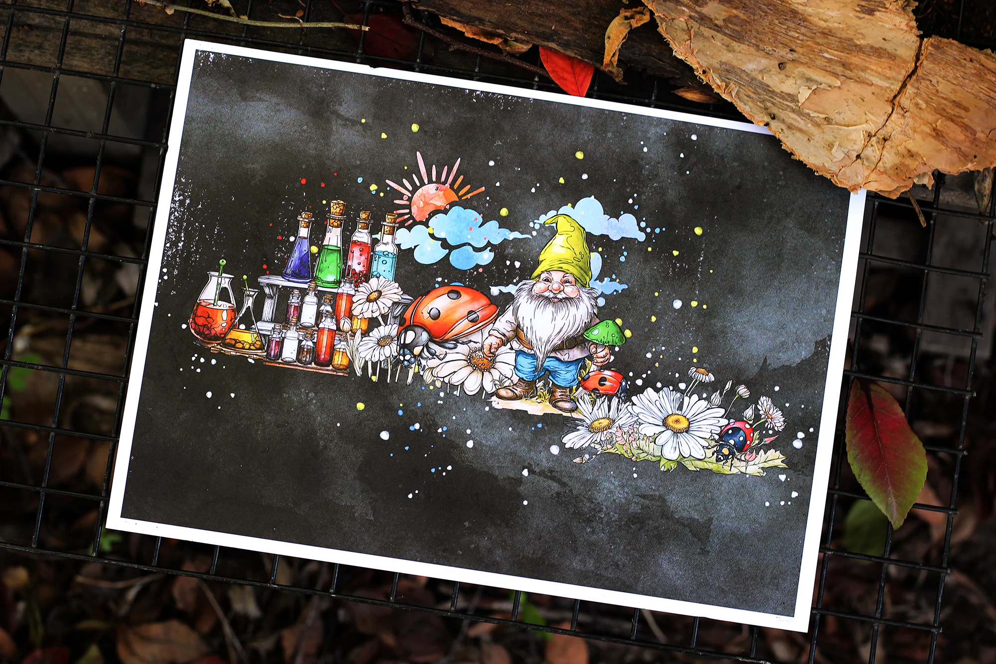 Thumbnail 5