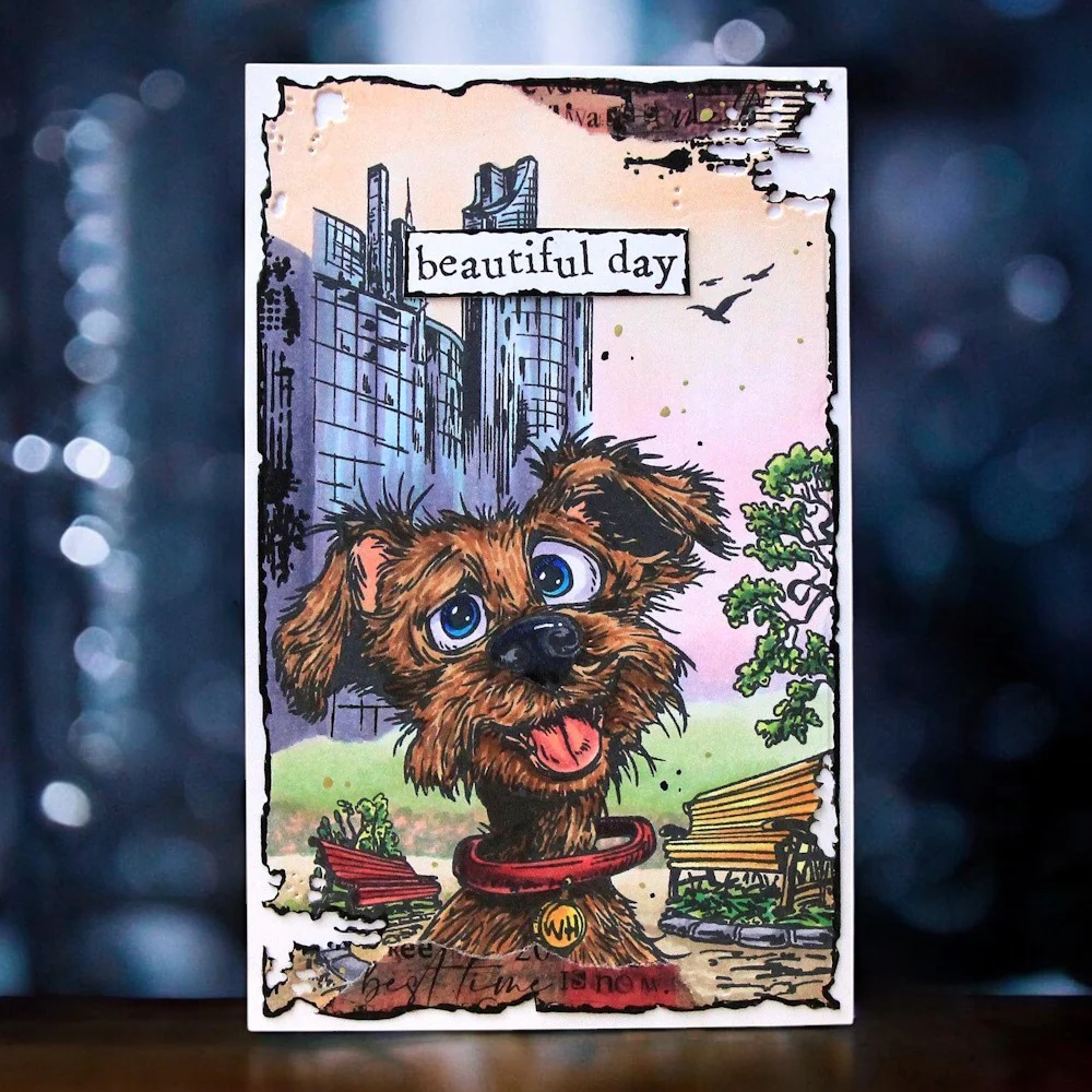 Thumbnail 34